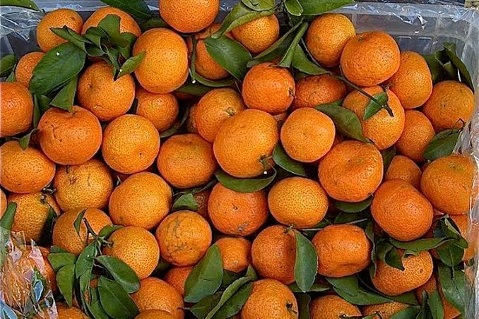 Buah Jeruk Mini